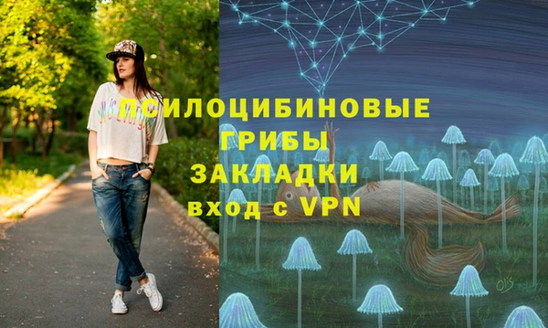apvp Алзамай