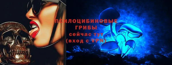 бошки Алексеевка