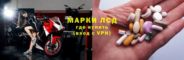 apvp Алзамай