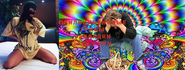 apvp Алзамай
