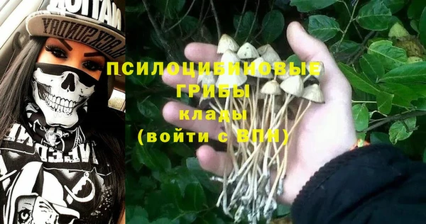дмт Бикин