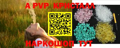 гидра Нальчик