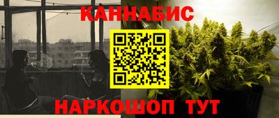 соль ск Новозыбков