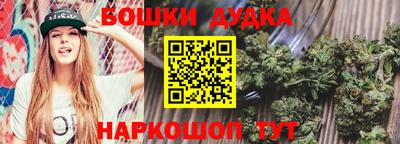 гидра Нальчик