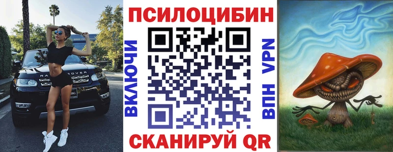 KRAKEN вход  Учалы  Псилоцибиновые грибы GOLDEN TEACHER 