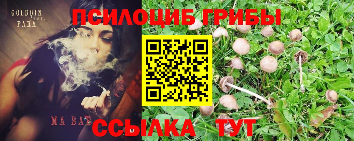 Галлюциногенные грибы прущие грибы Учалы