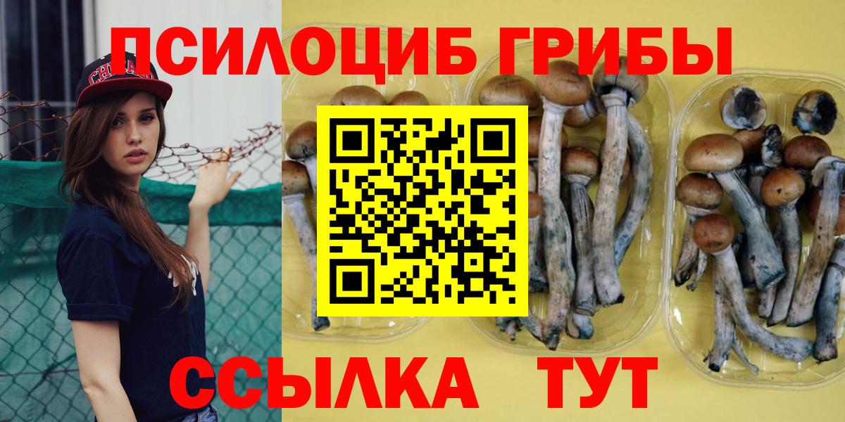 Галлюциногенные грибы Cubensis  Вход с VPN  Учалы 